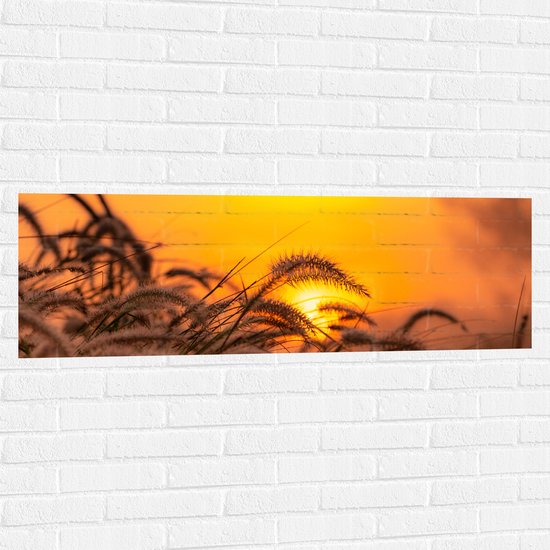 Muursticker - Stappel Grassen bij Felkleurige Zonsondergang in het Oranje - 120x40 cm Foto op Muursticker