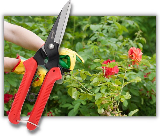 Tuinhandmatige snoeischaar, buxusschaar, voor takken, 20 cm van Merkloos	 — afbeelding 5