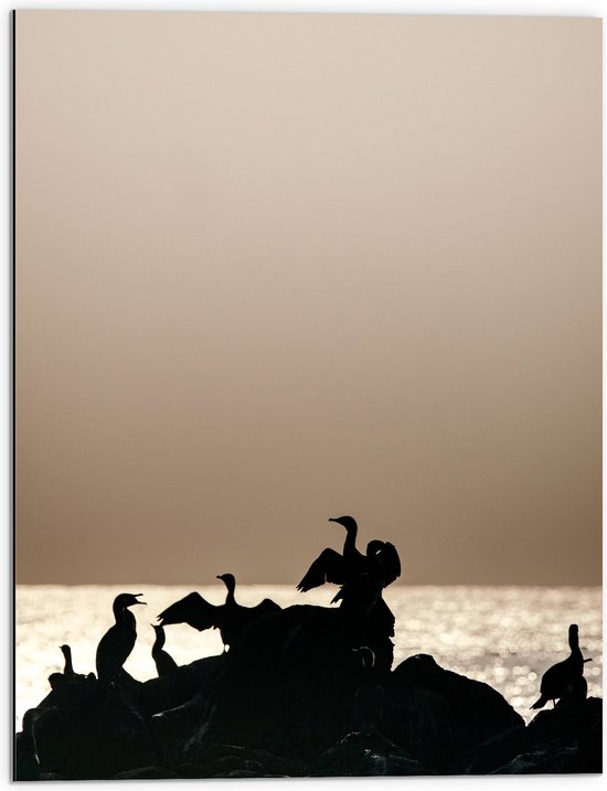 WallClassics - Dibond - Silhouette van Gevogelte op Stenen aan het Water - 60x80 cm Foto op Aluminium (Met Ophangsysteem)