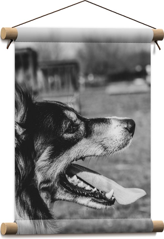 WallClassics - Textielposter - Opzij kijkende Hond met Tong uit Mond - Zwart Wit - 30x40 cm Foto op Textiel