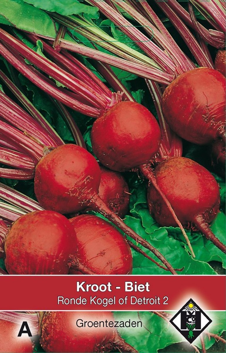 2 stuks Biet Kroot Kogel of Detroit 2Van Hemert & Co