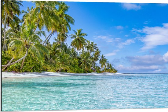 Dibond - Tropisch Strand met Palmbomen - 90x60 cm Foto op Aluminium (Wanddecoratie van metaal)