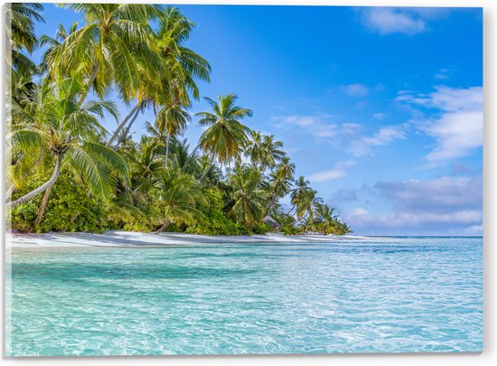 Acrylglas - Tropisch Strand met Palmbomen - 40x30 cm Foto op Acrylglas (Wanddecoratie op Acrylaat)