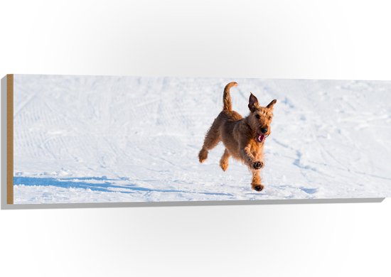 WallClassics - Hout - Bruine Hond rennend in de Sneeuw - 120x40 cm - 9 mm dik - Foto op Hout (Met Ophangsysteem)