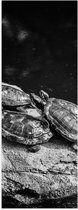 Poster (Mat) - Groep Kleine Schildpadden op Rots in het Water (Zwart- wit) - 40x120 cm Foto op Posterpapier met een Matte look