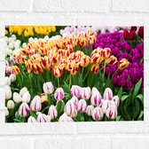 Muursticker - Bloemenveld met Oranje, Roze en Paarse Tulpen - 40x30 cm Foto op Muursticker