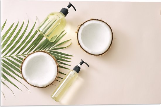 Acrylglas - Cosmetica Flesjes met Palmblad en Kokosnoten - 60x40 cm Foto op Acrylglas (Met Ophangsysteem)