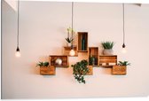 Dibond - Trio Lampen voor Kistjes met Planten aan de Muur - 105x70 cm Foto op Aluminium (Met Ophangsysteem)
