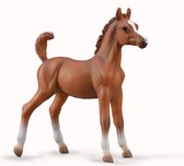 Collecta Paarden (1:20 M): ARABISCH VEULEN kastanjebruin 8,4x8,8cm