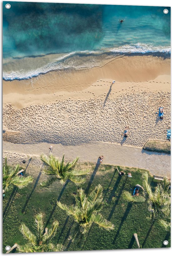 Tuinposter – Bovenaanzicht van Palmbomen op Grasveld aan het Strand bij Tropische Zee - 70x105 cm Foto op Tuinposter (wanddecoratie voor buiten en binnen)