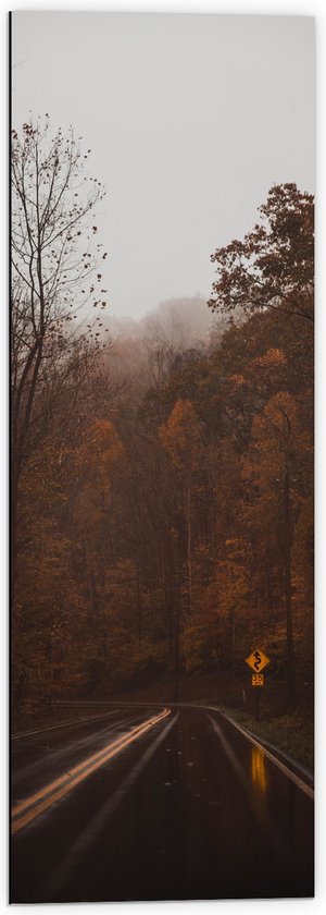 Dibond - Natgeregende Weg tussen Hoge Bomen in Herfst Tinten - 40x120 cm Foto op Aluminium (Wanddecoratie van metaal)