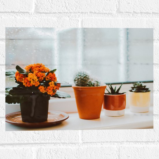 Muursticker - Verschillende Bruin Getinte Potjes met Planten en Bloemen in Raamkozijn - 40x30 cm Foto op Muursticker