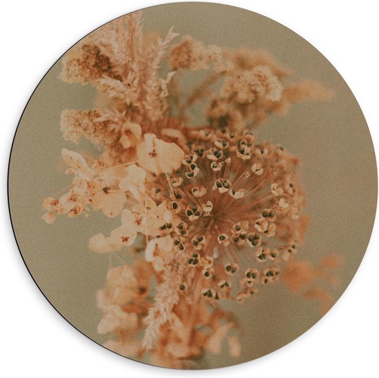 Dibond Muurcirkel - Droge Oranje Bloemen in Vaas tegen Beige Muur - 60x60 cm Foto op Aluminium Muurcirkel (met ophangsysteem)