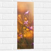 Muursticker - Paarse en Gele Bloemetjes in het Landschap - 20x60 cm Foto op Muursticker