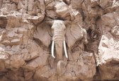Fotobehang - Vlies Behang - Olifant in de Rotsen gegraveerd - 416 x 290 cm