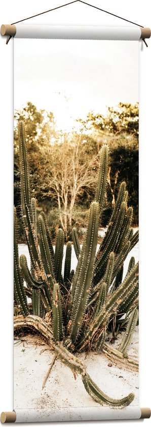 Textielposter - Groep Cactussen bij Bosrand in de Duinen - 30x90 cm Foto op Textiel