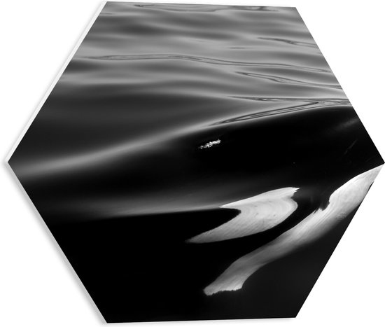 WallClassics - PVC Schuimplaat Hexagon - Zwart met Witte Orka aan het Wateroppervlak (Zwart- wit) - 40x34.8 cm Foto op Hexagon (Met Ophangsysteem)