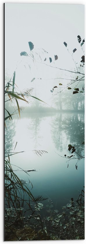 Dibond - Takken en Struiken voor Mist boven Meer in Bos - 30x90 cm Foto op Aluminium (Wanddecoratie van metaal)