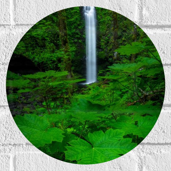 WallClassics - Muursticker Cirkel - Hoge Kleine Waterval tussen Felgroene Bladeren - 30x30 cm Foto op Muursticker