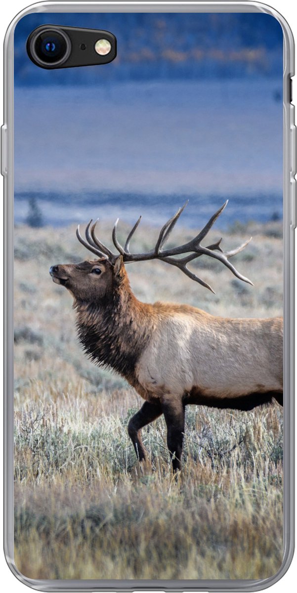 Telefoonhoesje Geschikt voor iPhone SE 2020 hoesje - Hert - Eland - Gras - Siliconen Telefoonhoesje Telefoonhoesje