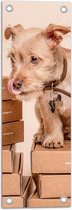 WallClassics - Tuinposter – Hondje op Stapel Dozen - 20x60 cm Foto op Tuinposter  (wanddecoratie voor buiten en binnen)