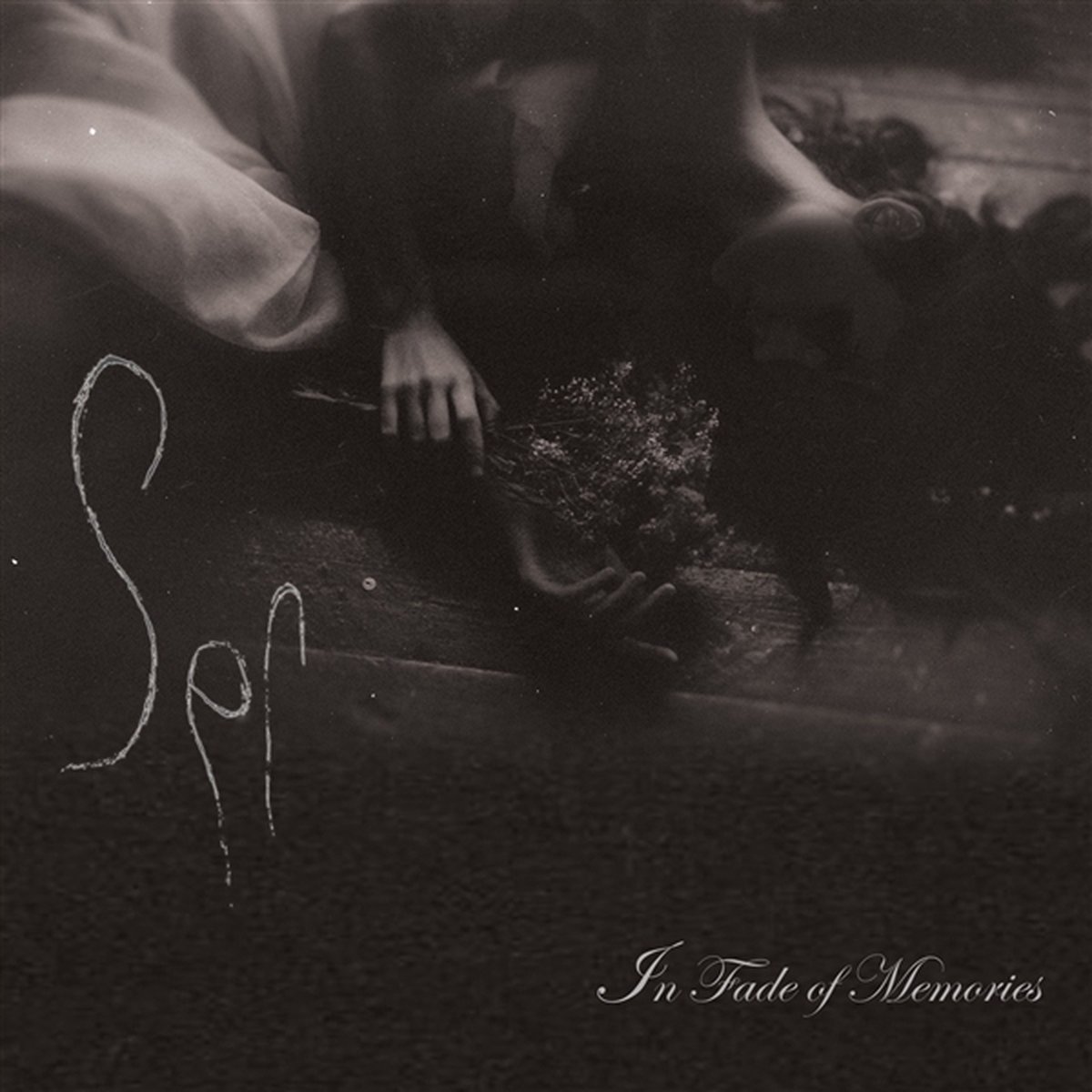 Ser - In Fade Of Memories (3 CD)