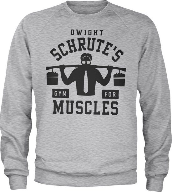 The Office Sweater/trui Dwight Schrute's Gym Grijs