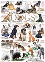 Wandbord Dieren - Dogs The Best Things In Life Are Furry - Honden Het Beste