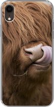 Geschikt voor iPhone XR hoesje - Schotse Hooglander - Bruin - Koe - Siliconen Telefoonhoesje