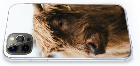 Coque iPhone 13 Pro - Highlander écossais - Animaux - Cornes - Siliconen