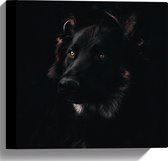 WallClassics - Canvas  - Zwarte Hond met Zwarte Achtergrond - 30x30 cm Foto op Canvas Schilderij (Wanddecoratie op Canvas)