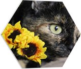 WallClassics - PVC Schuimplaat Hexagon  - Zwarte Poes met Gele Bloemen - 50x43.5 cm Foto op Hexagon (Met Ophangsysteem)