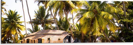 Dibond - Vakantieplek onder Palmbomen aan het Water - 90x30 cm Foto op Aluminium (Wanddecoratie van metaal)