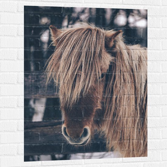 Muursticker - Kop van Pony met Lange Manen bij Hek in de Sneeuw - 75x100 cm Foto op Muursticker