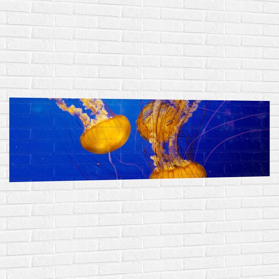 WallClassics - Muursticker - Feloranje Kwallen in Donkerblauwe Oceaan - 150x50 cm Foto op Muursticker