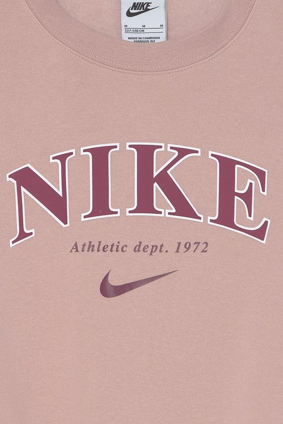 Sweat à capuche Nike Trend Fleece | bol.com