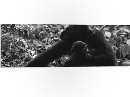 WallClassics - PVC Schuimplaat - Chimpansee Moeder met haar Jong (zwart- wit) - 90x30 cm Foto op PVC Schuimplaat (Met Ophangsysteem)