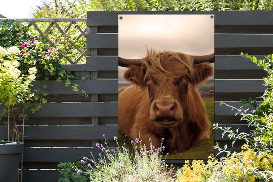 Affiche de jardin - Toile de jardin - Posters de jardin extérieures - Highlander écossais - Animaux - Berg - 80x120 cm - Jardin