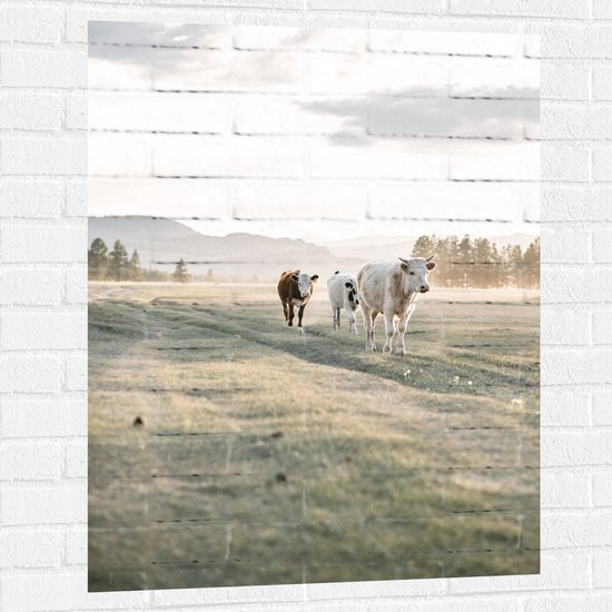 Muursticker - Trio van Koeien Lopend door Gras Landschap onder aan Berg - 75x100 cm Foto op Muursticker