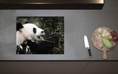 Inductieplaat Beschermer - Grote Zwart met Witte Panda tussen de Bamboe - 60x52 cm - 2 mm Dik - Inductie Beschermer van Vinyl