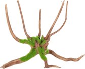 Zolux Groeiend Decor Spider Root M - Aquarium - Ornament - 23.9x27.5x17.5 cm