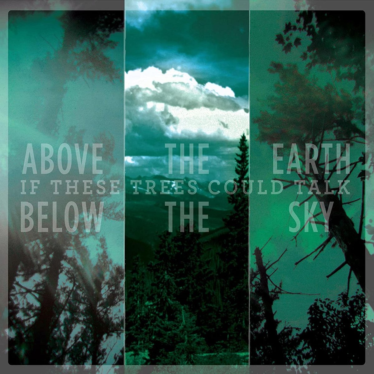 If These Trees Could Talk - Above The Earth, Below The Sky (LP) (Reissue)