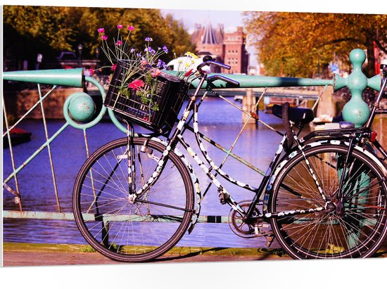 WallClassics - PVC Schuimplaat - Zwarte bloementjes Fiets voor Blauw Hek bij het Water - 105x70 cm Foto op PVC Schuimplaat (Met Ophangsysteem)