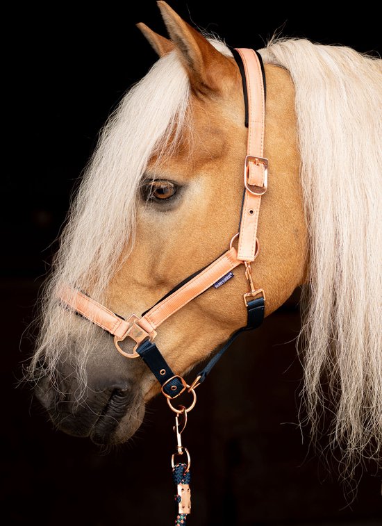 Licol et longe Sycamore Green - Equestrian Stockholm Tailles article cheval  Poney