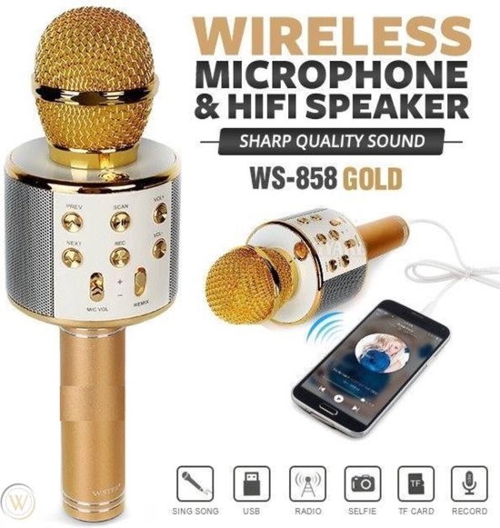 Microphone karaoké portable KTV WS-858 Gold avec haut-parleur | bol