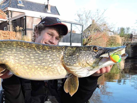 Salmo Fatso Floating - Jerkbait - Real Roach - 10cm - Roach van Salmo — afbeelding 5