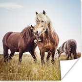 Affiche Paarden - Herbe - Printemps - 75x75 cm