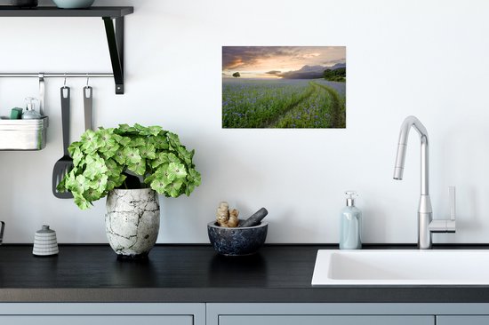 Affiche Sunset - Fleurs - Couleurs - 30x20 cm