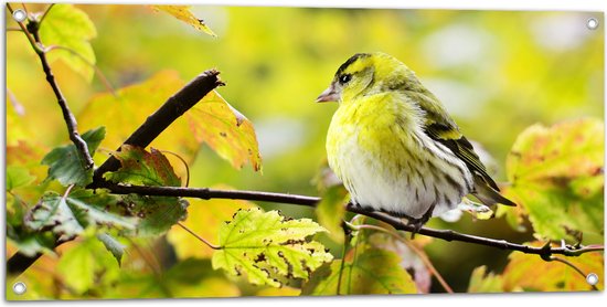 WallClassics - Tuinposter – Geel Vogeltje op een Tak - 100x50 cm Foto op Tuinposter  (wanddecoratie voor buiten en binnen)