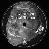 Digital Tsunami